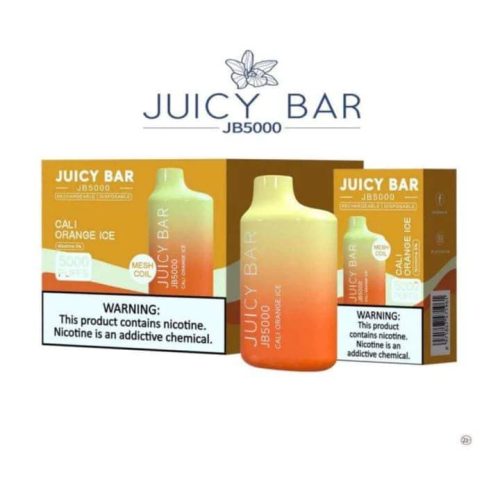 juicy bar disposable vapes alaskan blueberry mint juicy bar jb5000 vape 1pc 29876321124403