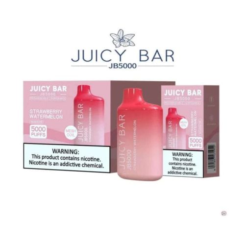 juicy bar disposable vapes alaskan blueberry mint juicy bar jb5000 vape 1pc 29876321878067